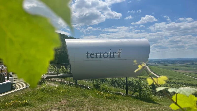 Würzburg: Excursion to the vineyards - enjoyable wine hike & tasting - The Experience: An In-Depth Look