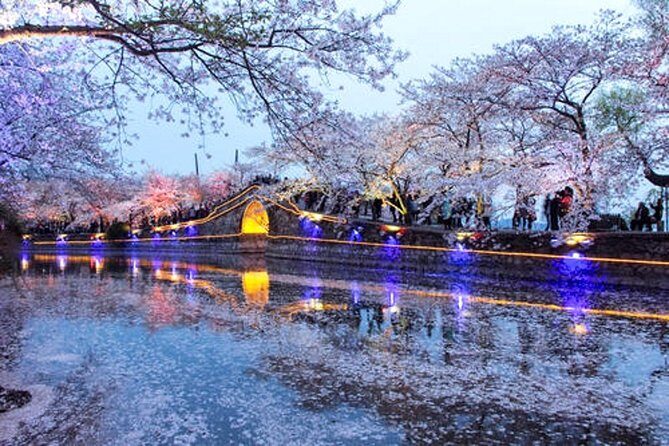 Wuxi Self-Guided Tour from Suzhou by Private Car - An In-Depth Look at What to Expect