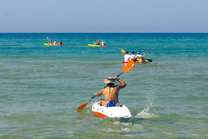 WWF Kayak Tour from Cala Manbrù to Torre Salsa Reserve - The Itinerary: What to Expect
