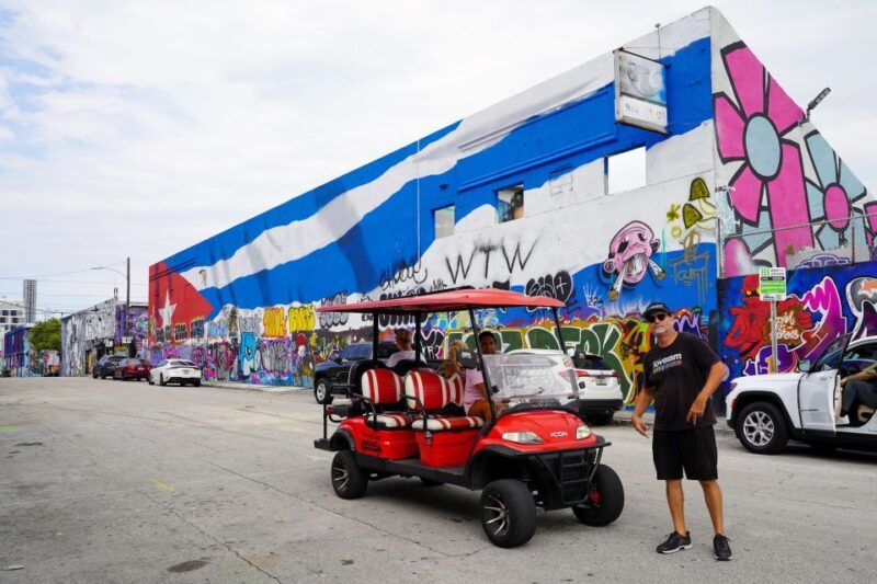 Wynwood Art District 1-Hour Wynwood Buggies Street Art Tour - Who Will Love This Tour?