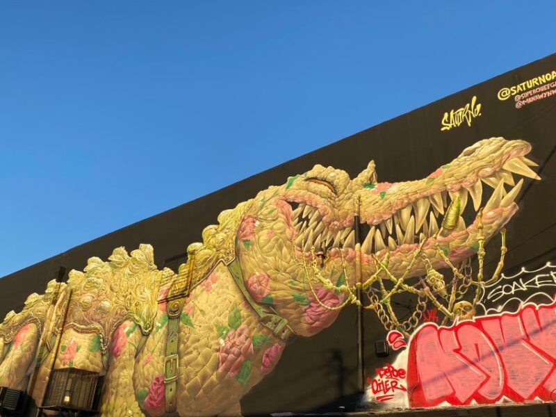 Wynwood walking tour in French (2h) - The Practicalities: What’s Included & What’s Not