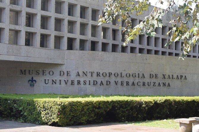 Xalapa and its aroma of coffee. Fall in love! - Discovering Xalapa: The Heart of Veracruz’s Cultural Scene