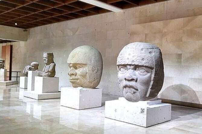 Xalapa and its aroma of coffee. Fall in love! - What Do Travelers Say?