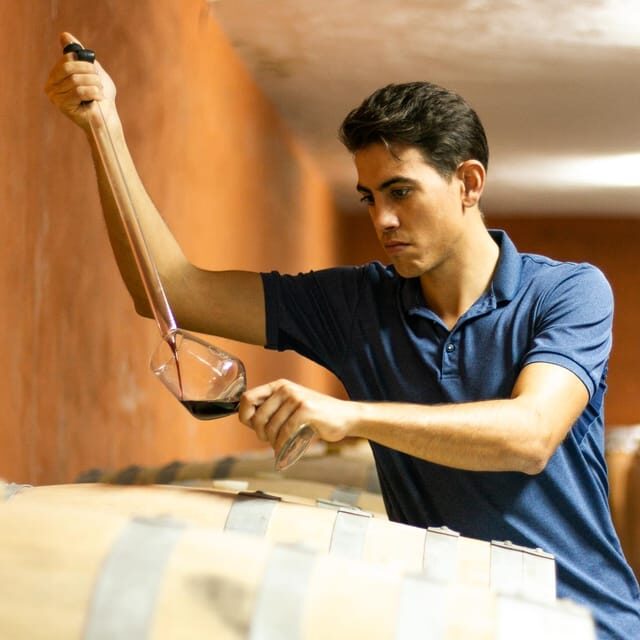 Xalo: Vineyard Tour with Wine Tasting and Snacks - Who Should Consider This Tour?