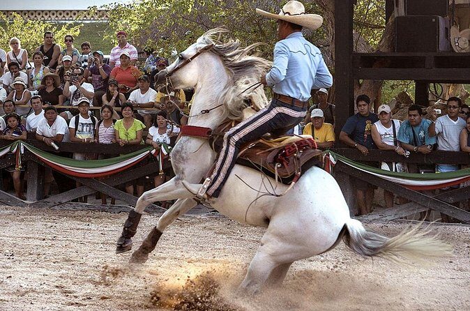 Xcaret Park Day Tour & Night Show with Transportation - Transportation and Practicalities