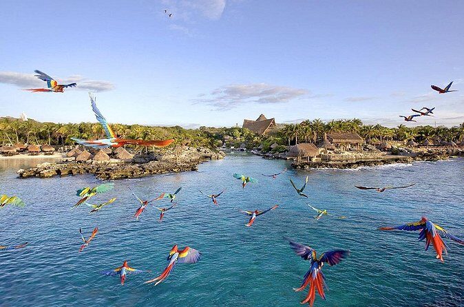 Xcaret Park Day Tour & Night Show with Transportation - Pricing and Value
