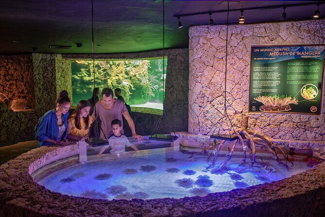 Xcaret Park Day Trip, transportation and Cultural Night Show - Exploring Xcaret: A Natural and Cultural Tapestry