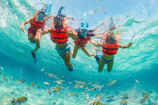 Xcaret Park Day Trip, transportation and Cultural Night Show - Extra Activities and Their Costs