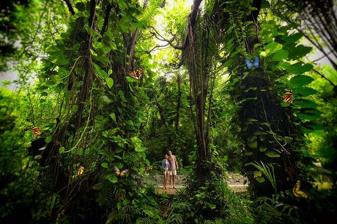 Xcaret Park Entry Tickets with Cultural Night Show Included - What to Expect Inside the Park