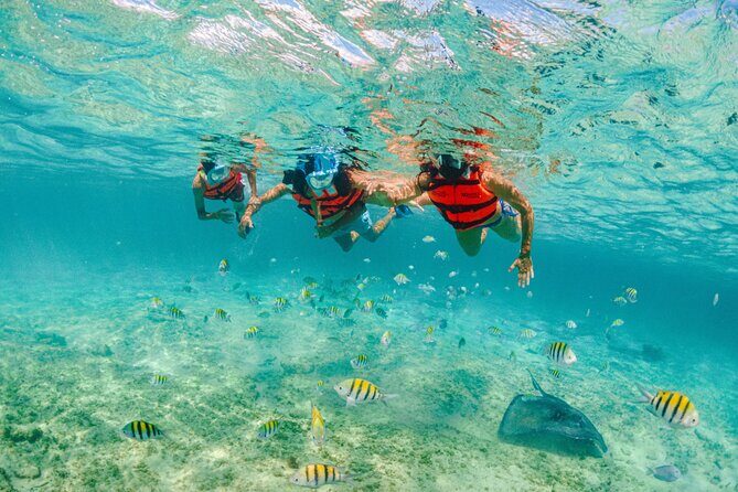 Xcaret Park Entry Tickets with Cultural Night Show Included - Authentic Experiences and Practical Tips