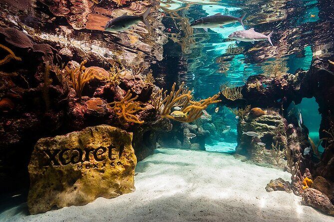 Xcaret Park! Nightshow, Underground River & Transportation - Final Thoughts