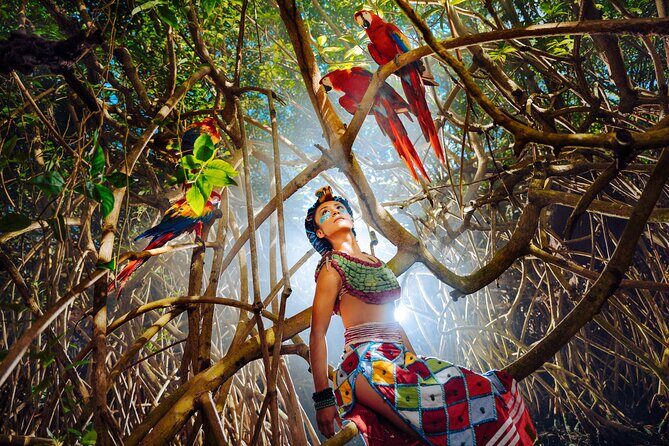 Xcaret Park Plus Access with Transportation and Night Show - What to Expect at Xcaret Park