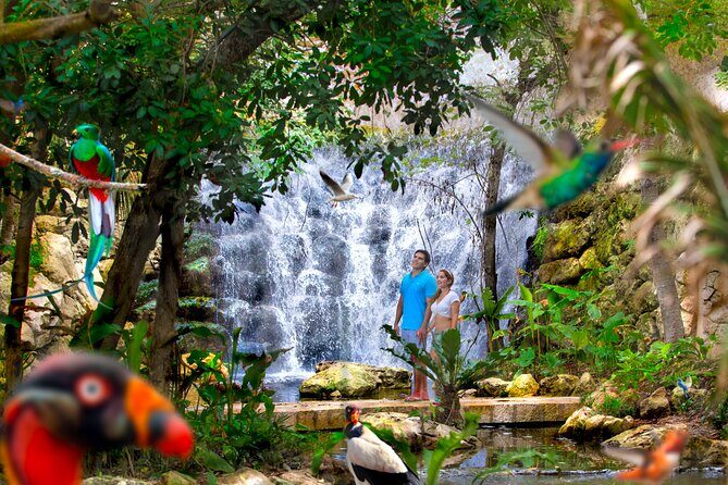 Xcaret Park Plus Access with Transportation and Night Show - Final Thoughts