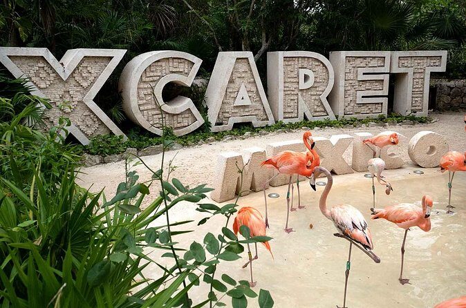 Xcaret Plus Full Day Tour - Final Thoughts: Who Is This Tour For?