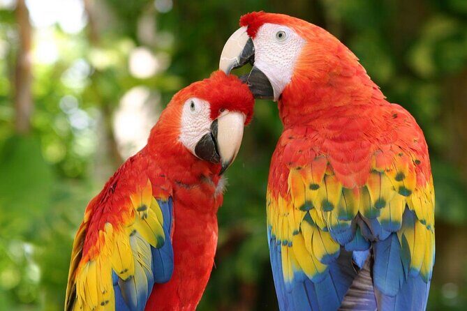 Xcaret Plus Tour & Swim in the Underground River only from Tulum - Introduction: An Exciting Day of Culture and Nature from Tulum