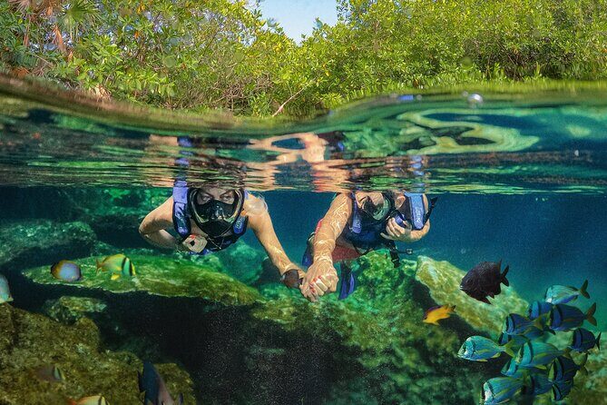 Xel-Ha Park Admission Tickets - The Essence of Xel-Ha: An Overview