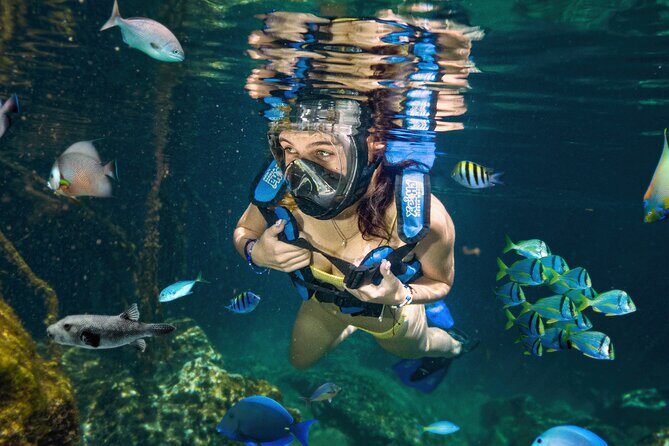 Xel-Ha Tickets with Transportation included - Introduction: What’s the Experience Like?