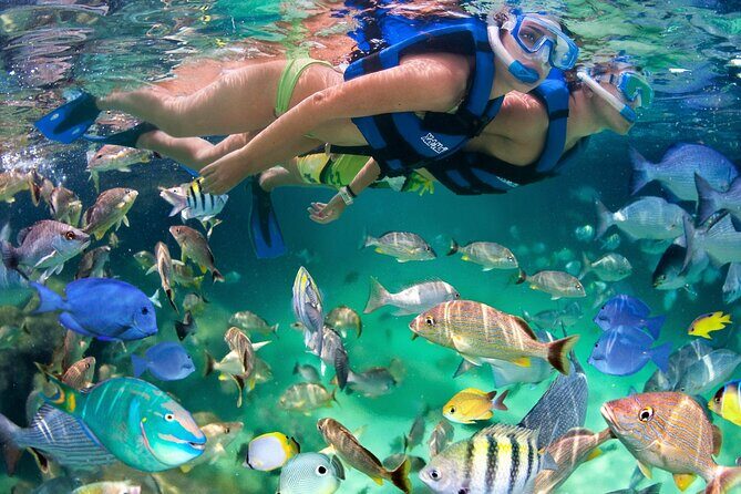 Xelha Tickets with Transportation - Key Points