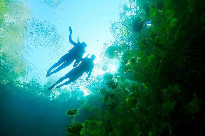 Xenotes Adventure, Oasis Maya from Cancun and Playa del Carmen - Final Thoughts