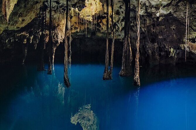 Xenotes - Pricing and Value