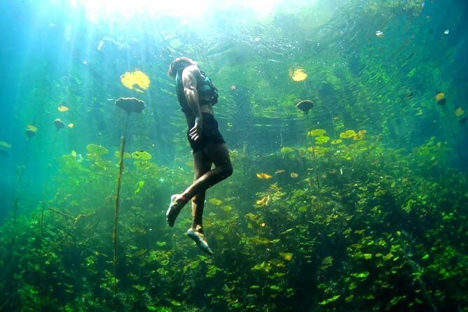 Xenotes Full Nature Experience! Round Transportation From Cancun & Riviera Maya - Key Points