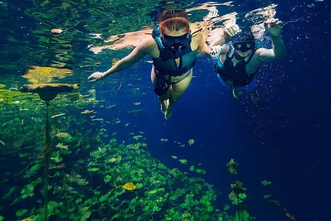 Xenotes Full Nature Experience! Round Transportation From Cancun & Riviera Maya - Introduction to the Xenotes Tour