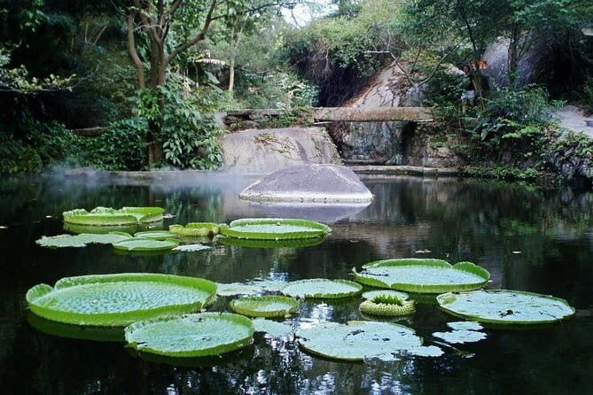 Xiamen Private Day Tour Include Gulangyu Island and Botanic Garden - Who Should Consider This Tour?