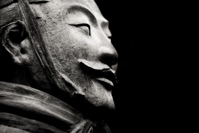 Xi'an Half-Day Tour of Shaanxi History Museum and Big Wild Goose Pagoda - Who Should Book This Tour?