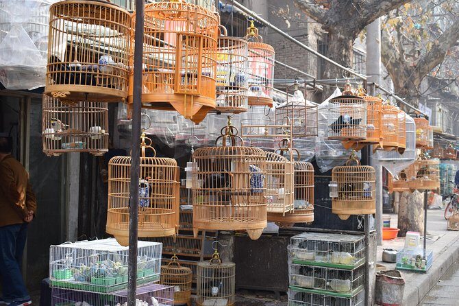 Xi'an Morning Walking and Foodie Tour - Who Should Consider This Tour?