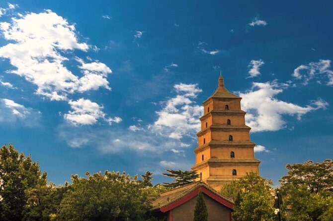 Xian Small Group Day Tour:Terracotta Army, Big Wild Goose Pagoda and City Wall - Authentic Insights from Travelers