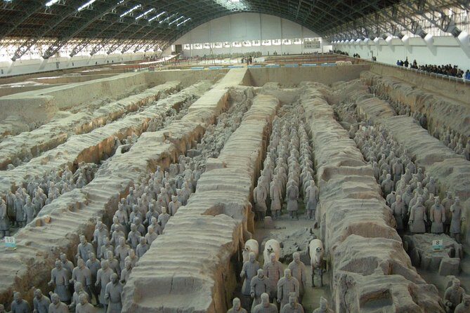 Xi'an Xianyang Airport (XIY) Pick up and Terracotta Warriors Museum Day Tour - Practical Tips for Travelers