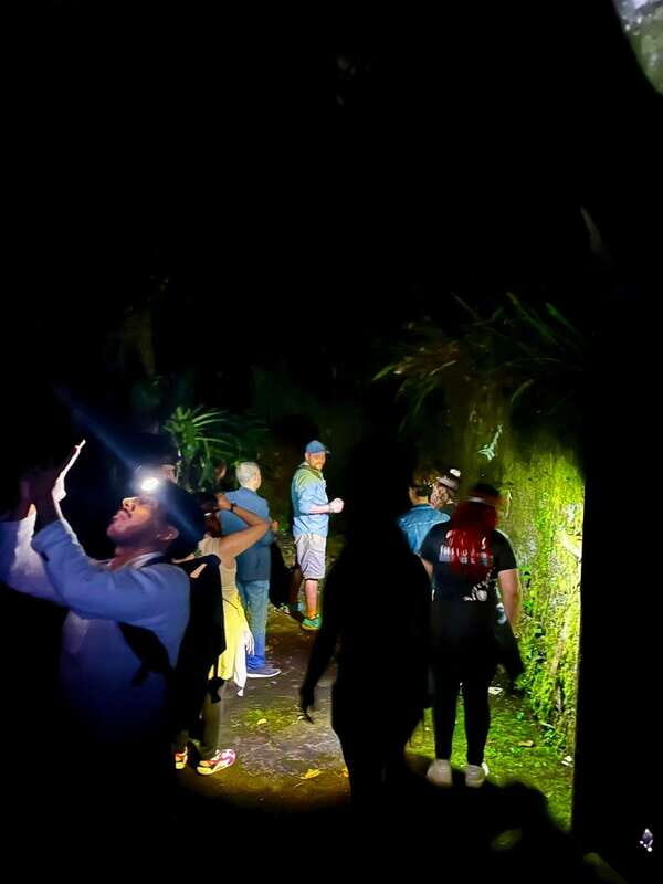 Xilitla - Caminando por un sueño surrealista - Discovering Edward James’s Surrealist Garden at Night