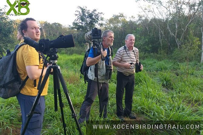 Xocen Birding - Exploring Xocén Birding: A Genuine Encounter with Yucatán’s Avian Treasures