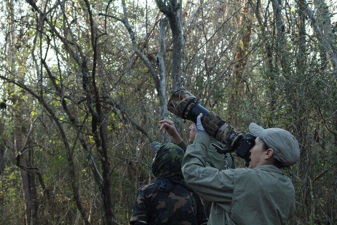 Xocen Birding - Reviews That Speak Volumes