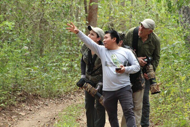 Xocen Birding - Practicalities and Tips