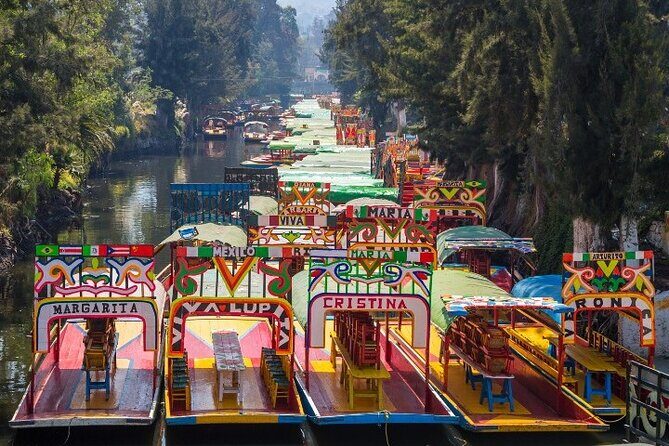Xochimilco 5 Hour Boat Ride and UNAM University Tour - Who Will Love This Tour?