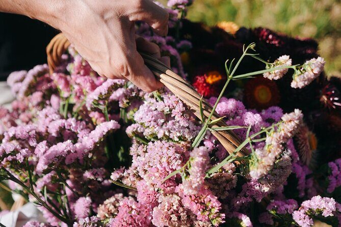 Xochimilco Ancestral Ajolotos Chinampas and Living Tradition - FAQs