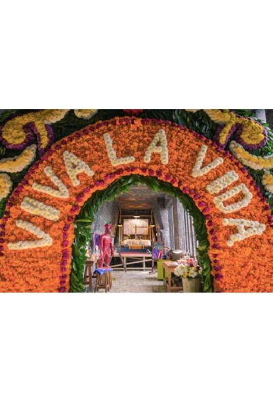 Xochimilco Canals and the Treasures of Coyoacán Tour - An In-Depth Look at the Experience