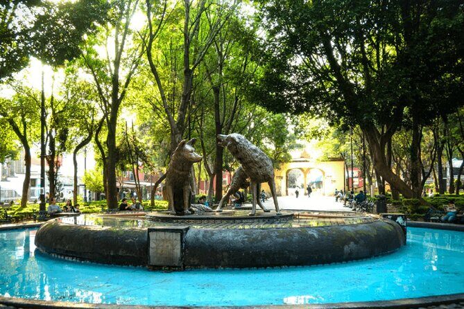 Xochimilco, Casa de Frida Kahlo, Coyoacán and UNAM - FAQ