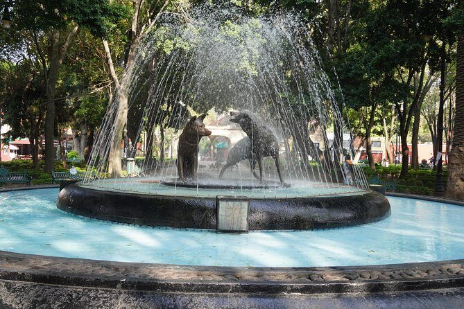 Xochimilco, Coyoacán and Frida Kahlo Museum Private Tour - Who Will Enjoy This Tour?