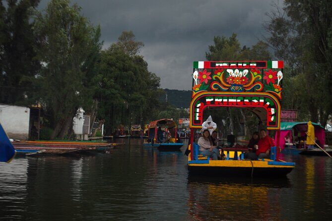 Xochimilco, Coyoacán & Ciudad Universitaria Tour - A Closer Look at the Tour Experience