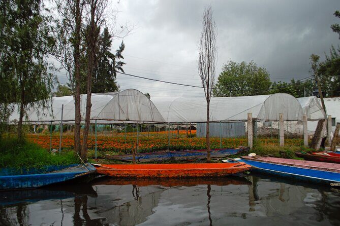 Xochimilco, Coyoacán & Ciudad Universitaria Tour - FAQ