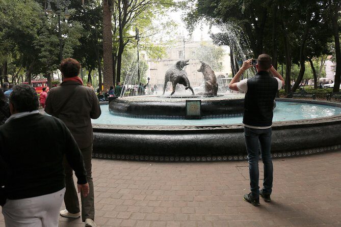 Xochimilco, Coyoacan, Frida Kahlo Museum & Artistic Murals - Final Thoughts: Is This Tour Right for You?