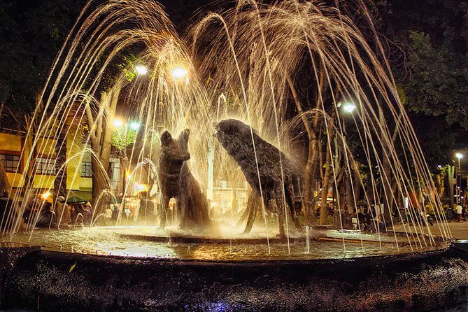 XOCHIMILCO & COYOACAN (Private) - Who Should Book This Tour?