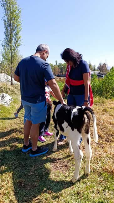 Xochimilco for kids and families - A Full-Day Adventure in Xochimilco: What to Expect