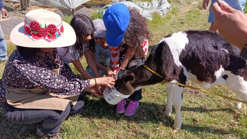 Xochimilco for kids and families - Assessing the Value