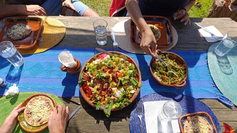 Xochimilco for kids and families - The Sum Up