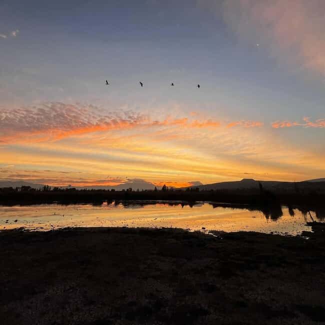Xochimilco: Kayak ride at sunrise with breakfast - Why This Tour Offers Good Value