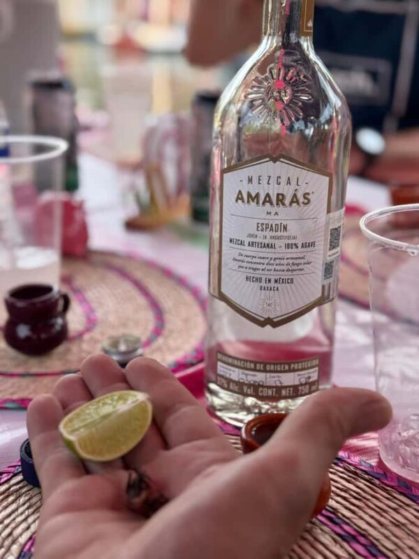 Xochimilco Mezcal Party: Culture, Flavor, and Fiesta - The Itinerary in Detail