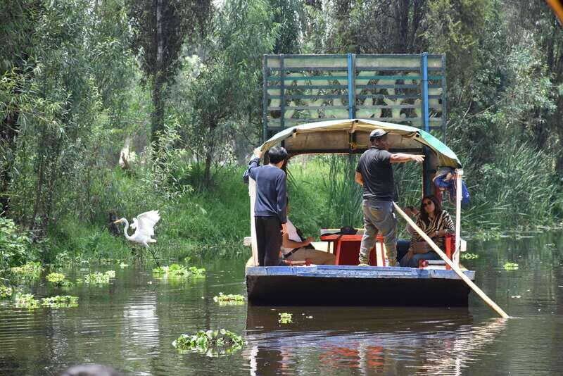 Xochimilco Serene: A Calm Cultural Escape from the Crowds - A Deep Dive into the Xochimilco Serene Tour